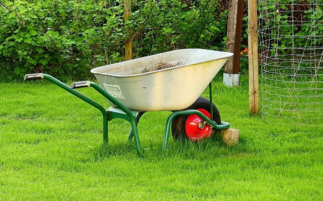 HOW TO MOW THE LAWN THE CLIMATE-FRIENDLY WAY