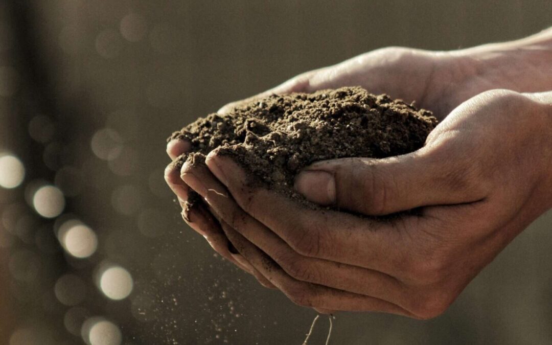 CREATING CLIMATE-FRIENDLY SOIL