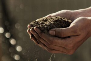 Garden soil, organic soil, earth,